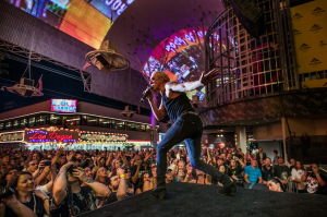 Dee Snider - Chicago Summer Concert