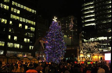 Chicago Christmas Tree